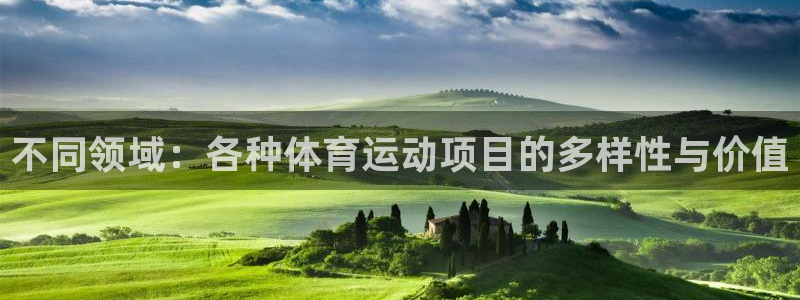 领航国际体育：不同领域：各种体育运动项目的多样性与价值