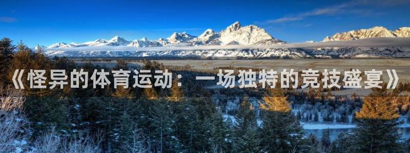 意昂体育注册：《怪异的体育运动：一场独特的竞技盛宴》
