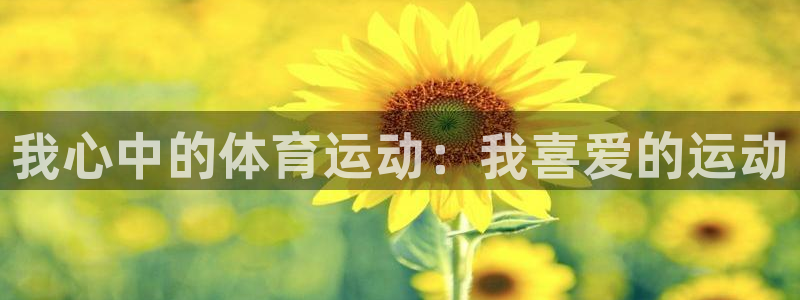 东莞市大朗意昂五金厂：我心中的体育运动：我喜爱的运动