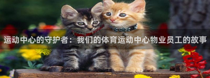 意昂平台注册入口：运动中心的守护者：我们的体育运动中心物业员工的故事