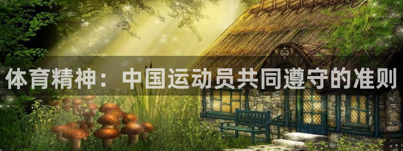 领航国际体育免费注册入口：体育精神：中国运动员共同遵守的准则