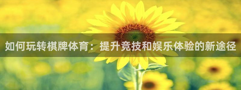 领航国际体育免费注册入口：如何玩转棋牌体育：提升竞技和娱乐体验的新途径