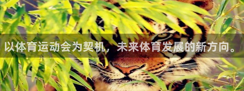 领航国际3代理：以体育运动会为契机，未来体育发展的新方向。