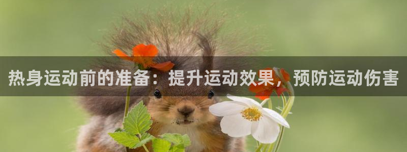领航国际凯捷开号链接：热身运动前的准备：提升运动效果，预防运动伤害