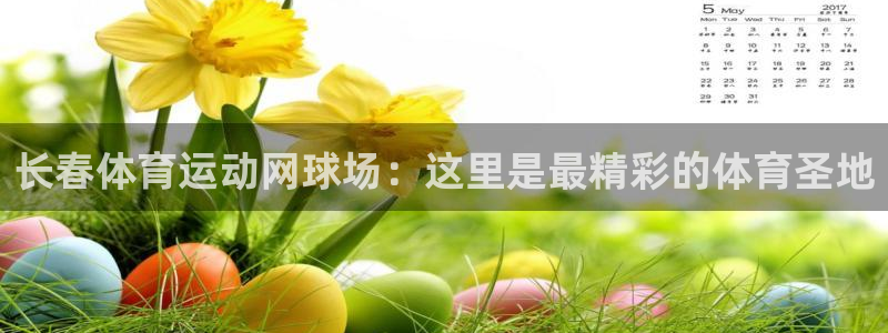 领航国际平台登录：长春体育运动网球场：这里是最精彩的体育圣地