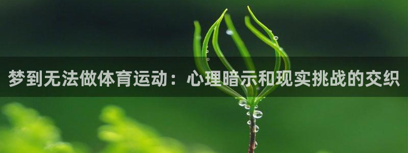 领航国际2代理注册：梦到无法做体育运动：心理暗示和现实挑战的交织
