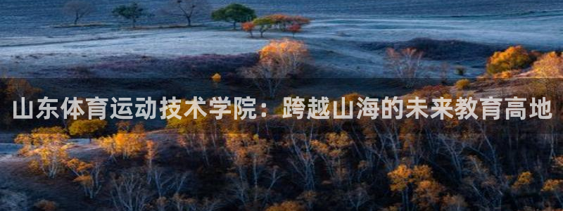 意昂3官网：山东体育运动技术学院：跨越山海的未来教育高地